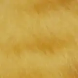 tanakatan