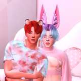 vminkook_sims