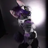 Beetlecat