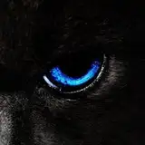 Anton_HNZ