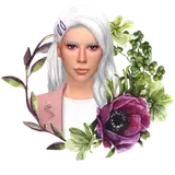 sweetberryturtle