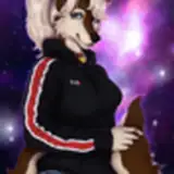 Cookie