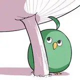 irotoricototi