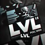 level1000