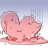 bumper-aki