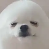 4kundessuuu