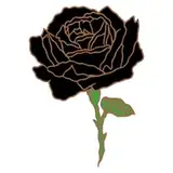 insuh