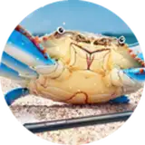 KRABBY'S STORE