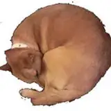 一智和智
