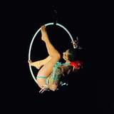Danielle Colby Striptease Historian | The Queen of Rust
